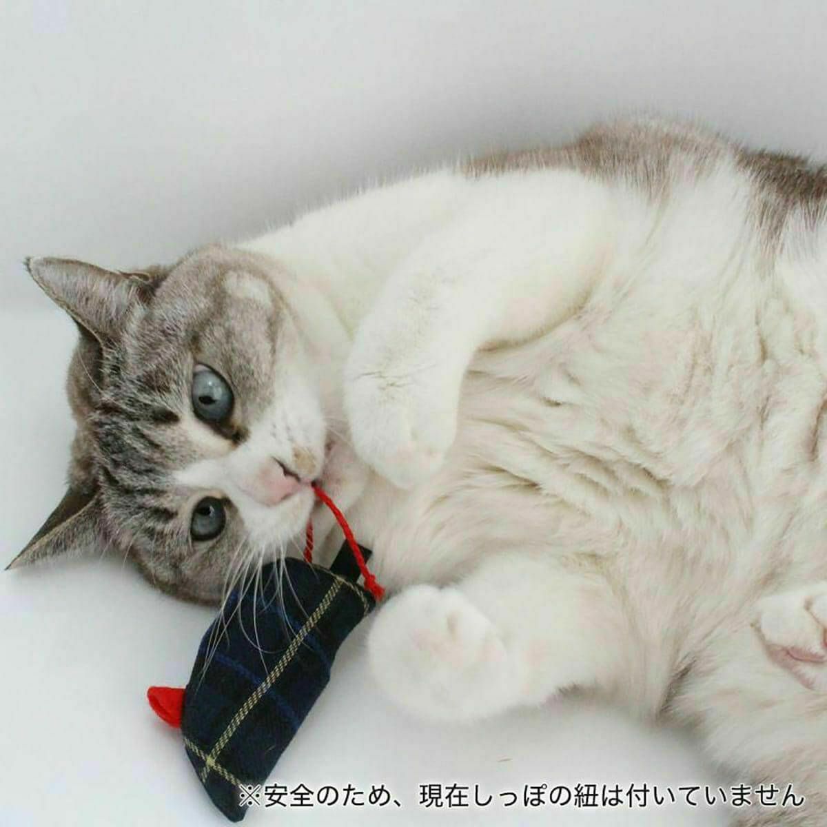 ネコが喜ぶおもちゃセット。ねこずきけりけり付おもちゃ5点セット