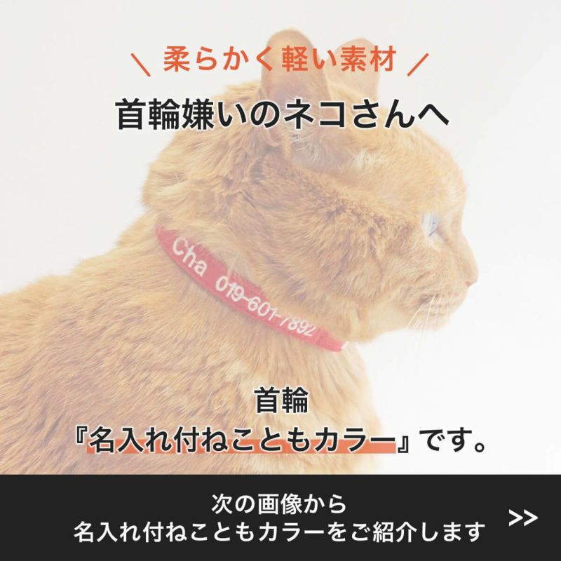 電話番号と名前入りの猫用首輪。迷子札不要で軽いから嫌がらない