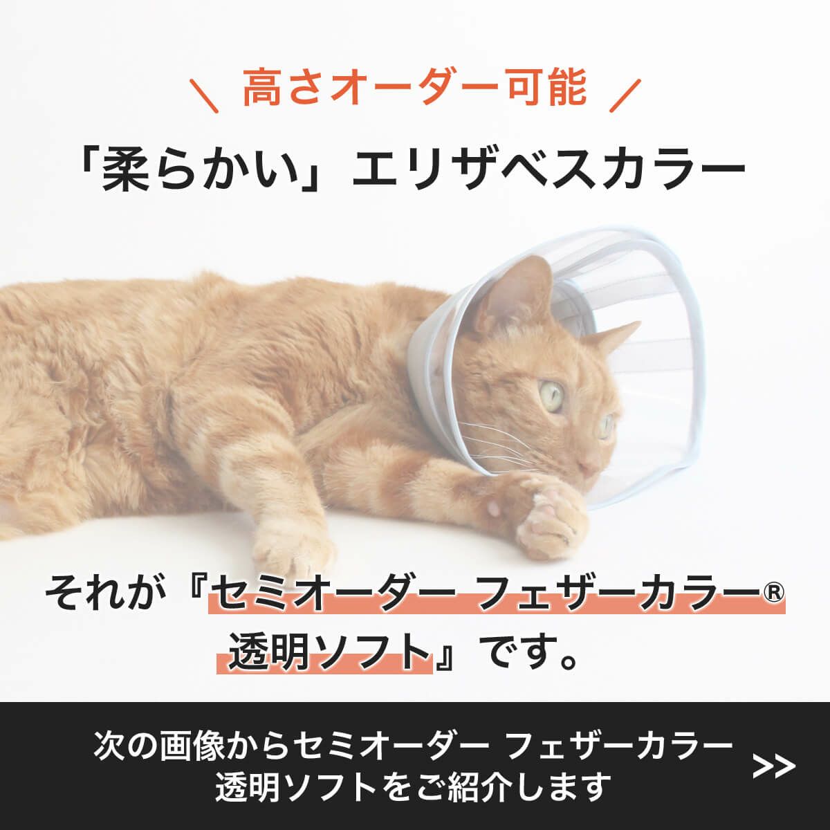 セミオーダーエリザベスカラー。フェザーカラー【透明・ソフト】