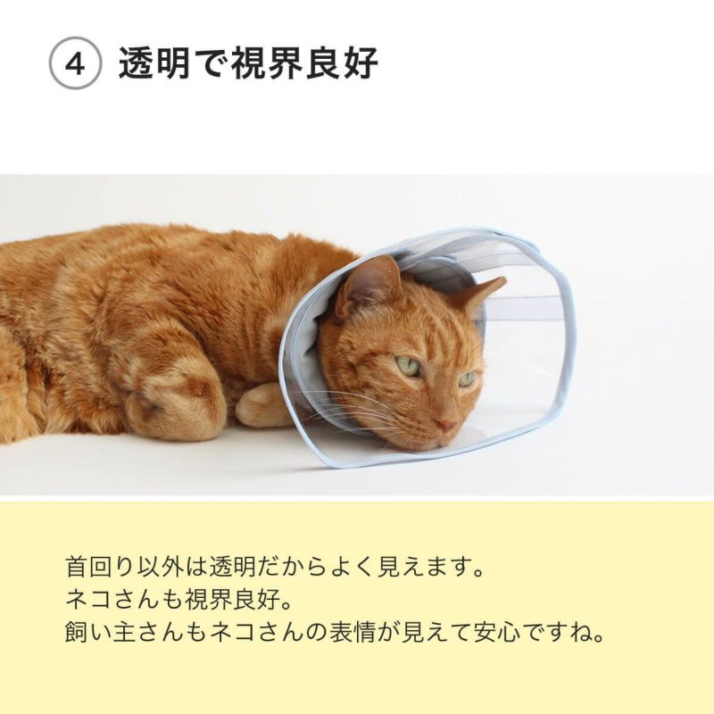 フェザーカラー【透明・ソフト】は透明で視界良好