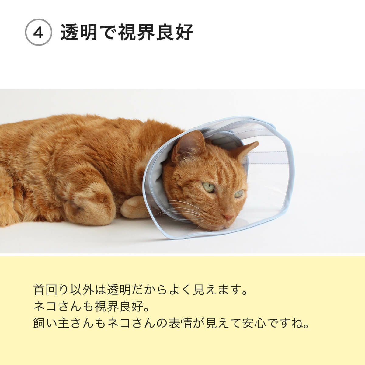 フェザーカラー【透明・ソフト】は透明で視界良好