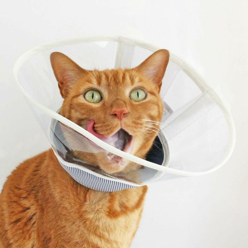 セミオーダーエリザベスカラー。フェザーカラー【透明・ソフト】