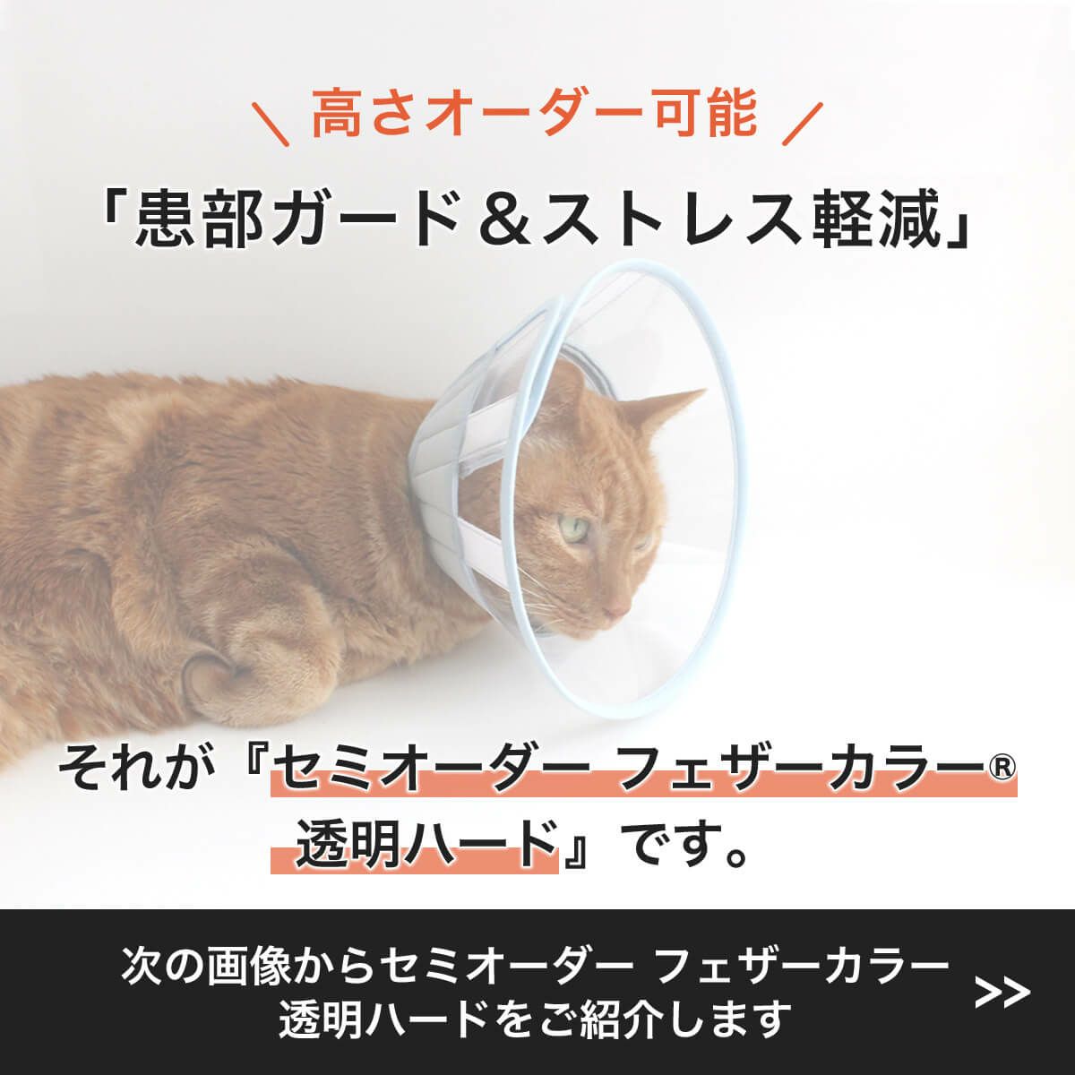 セミオーダーエリザベスカラー。フェザーカラー【透明・ハード】