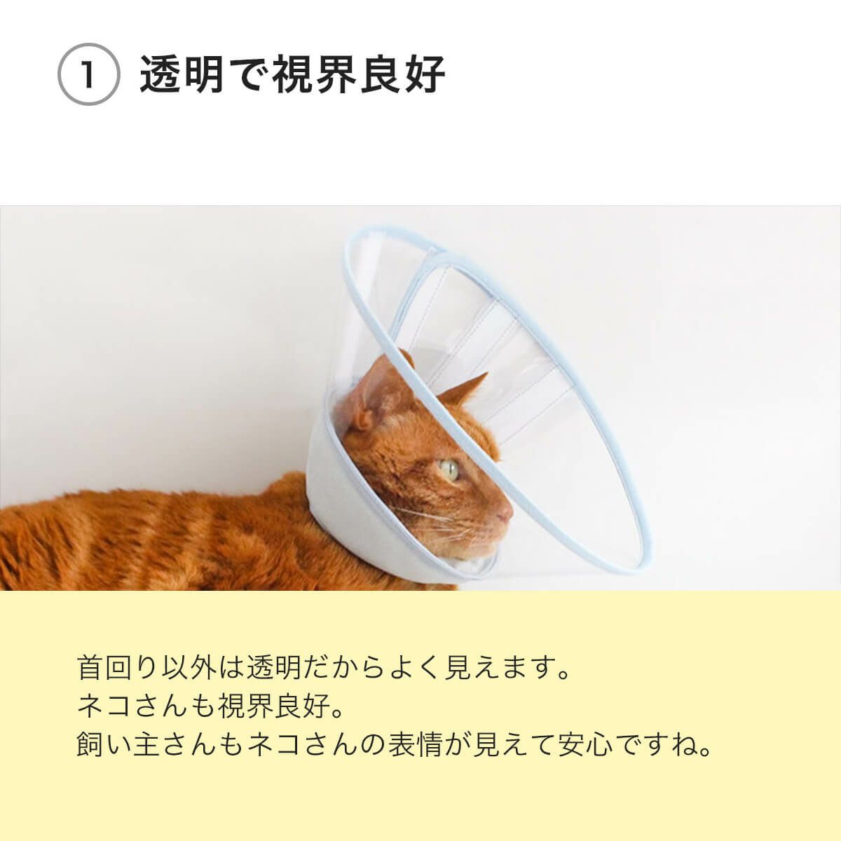 フェザーカラー【透明・ハード】は透明で視界良好