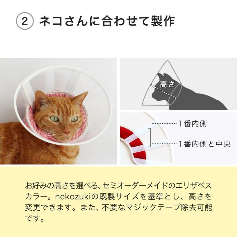 フェザーカラー【透明・ハード】はネコさんに合わせて製作