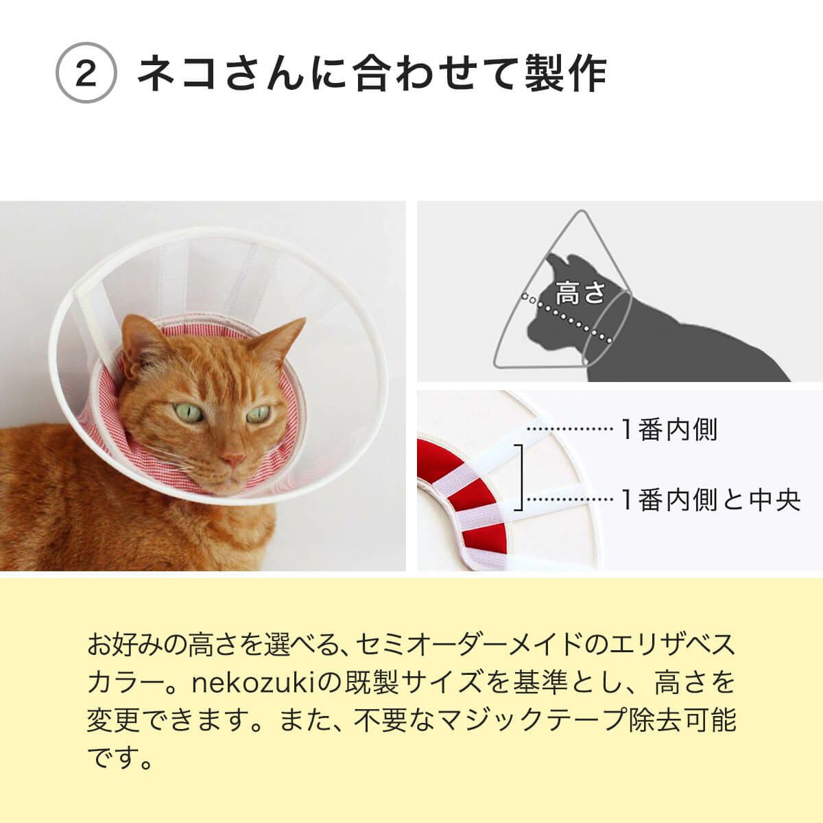 フェザーカラー【透明・ハード】はネコさんに合わせて製作