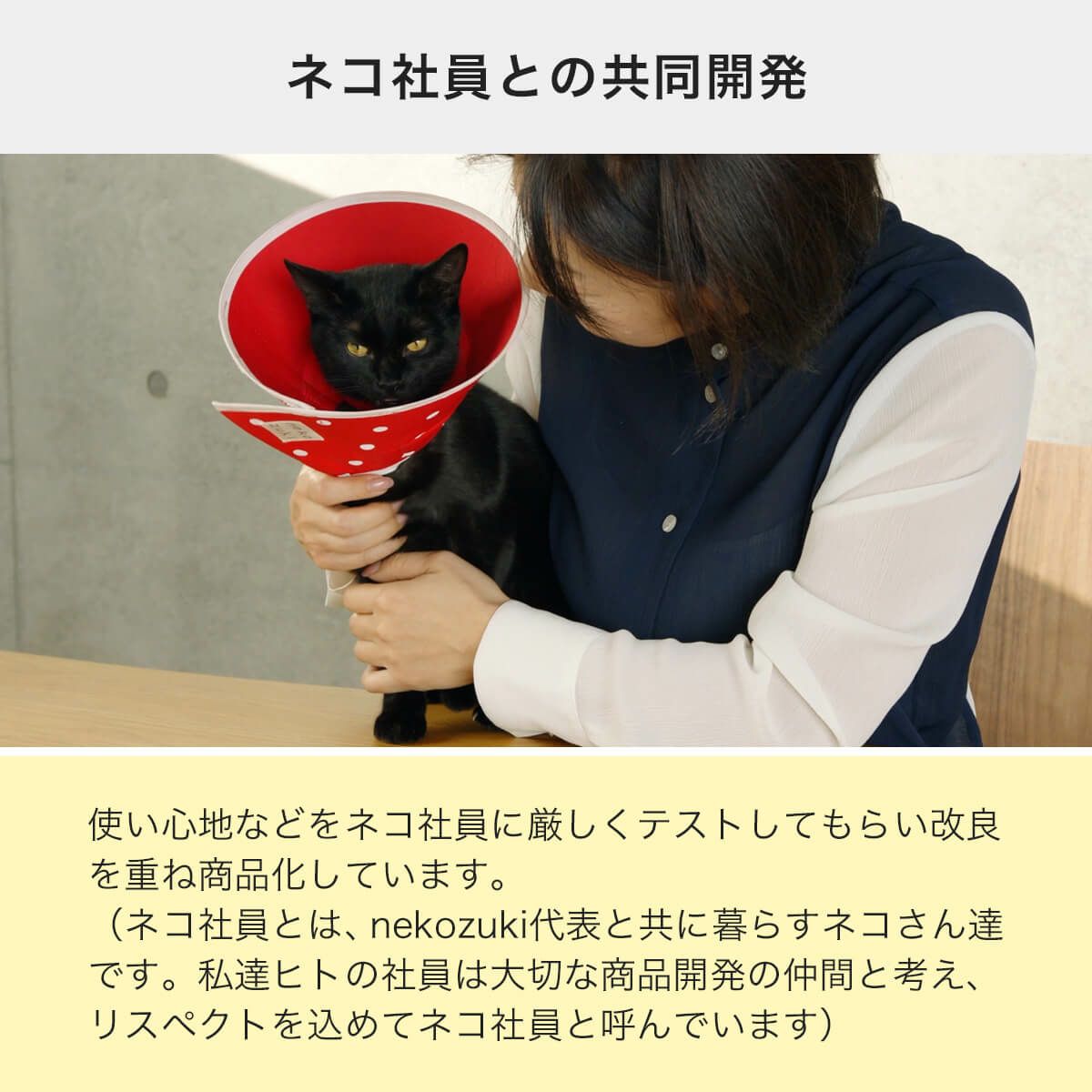 フェザーカラー【透明・ハード】はネコ写真との共同開発