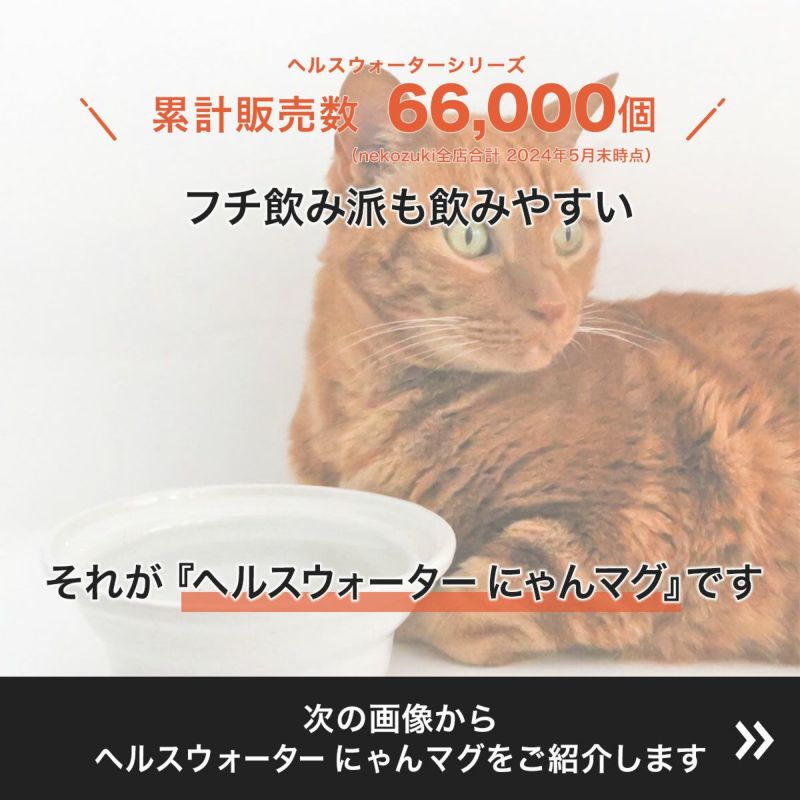 フチ飲み派も飲みやすい猫の食器ヘルスウォーターにゃんマグ