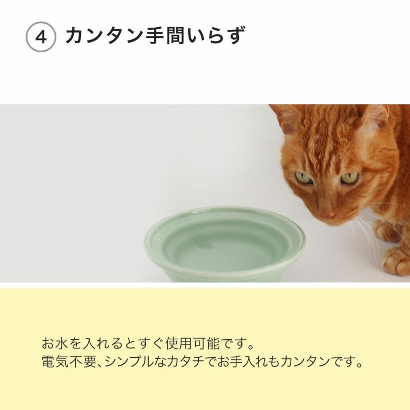 にゃんマグは水を入れるだけ！シンプルでお手入れ簡単な猫用食器です