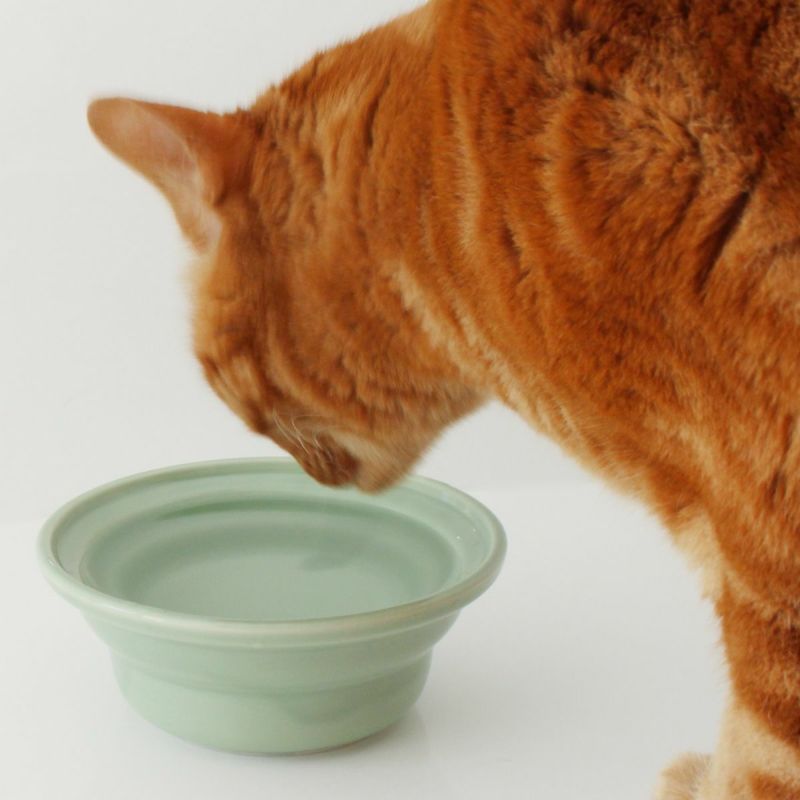 猫の水飲み用食器ヘルスウォーターシリーズ水が飲みやすいにゃんマグ使用イメージ