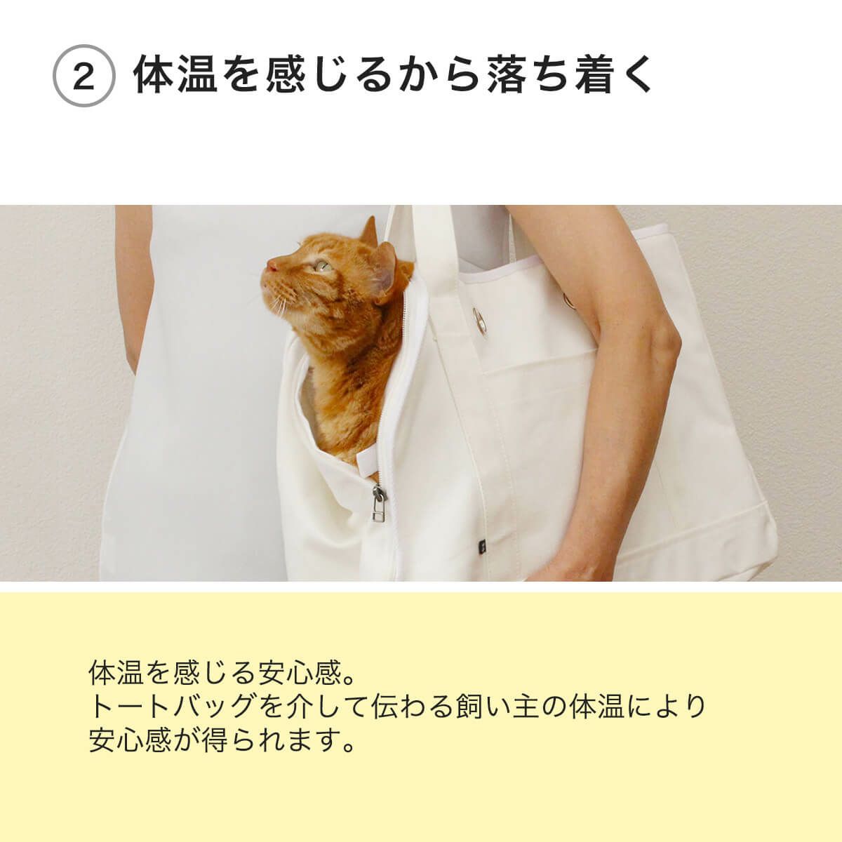 ねこずきなトートは体温を感じるから落ち着く