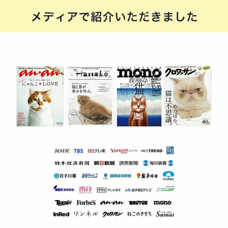 キャリーバッグを嫌がる猫におすすめ。ねこずきなトート