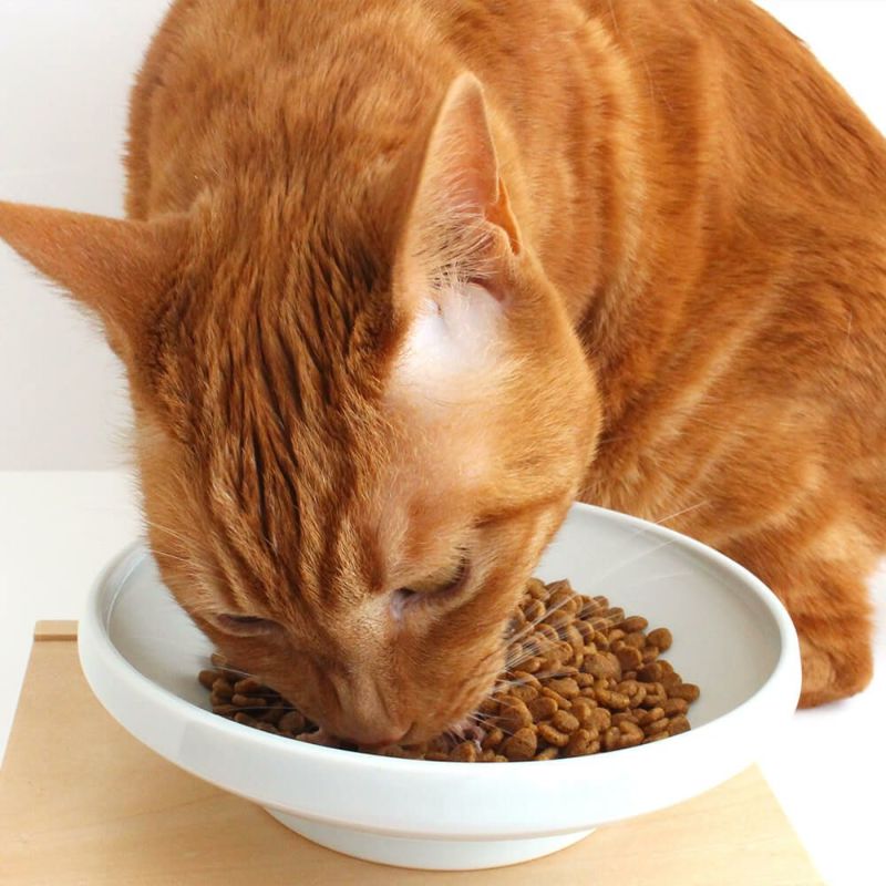 猫が食べやすい斜めの傾斜、磁器製のフードボウル。重さがあるからひっくり返らない。