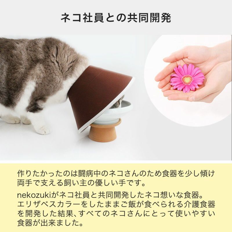 猫用磁器製食器まんまボウルはネコ社員と共同開発