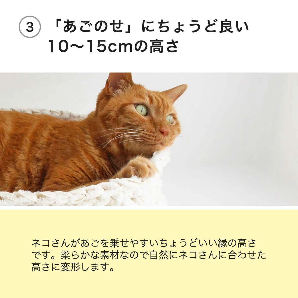 あみあみベッドは「あごのせ」にちょうど良い10〜15cmの高さ