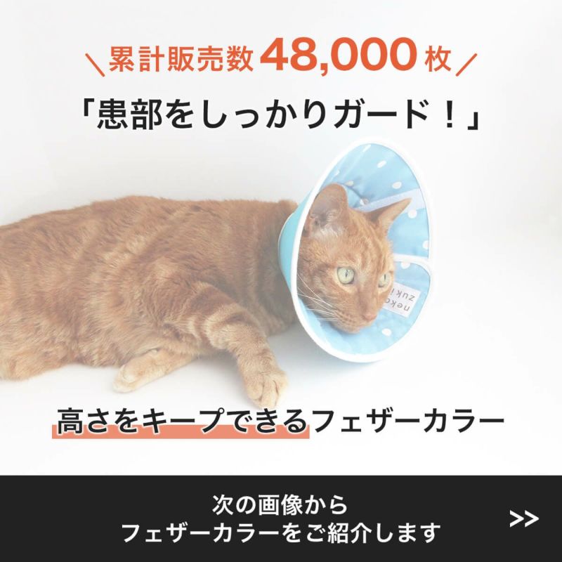 エリザベスカラー 犬 猫 ソフト 傷口保護 手術 怪我 術後 バナナ XS