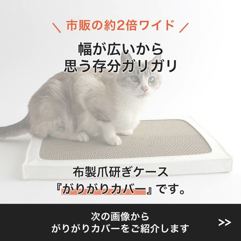 子猫から高齢猫までずっと長く使える、床置きタイプの布製爪とぎケース