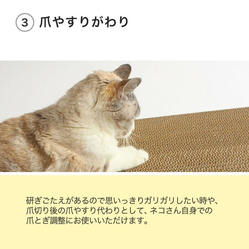 猫の爪とぎダンボール堅め2枚。好みが分からない問題を解決