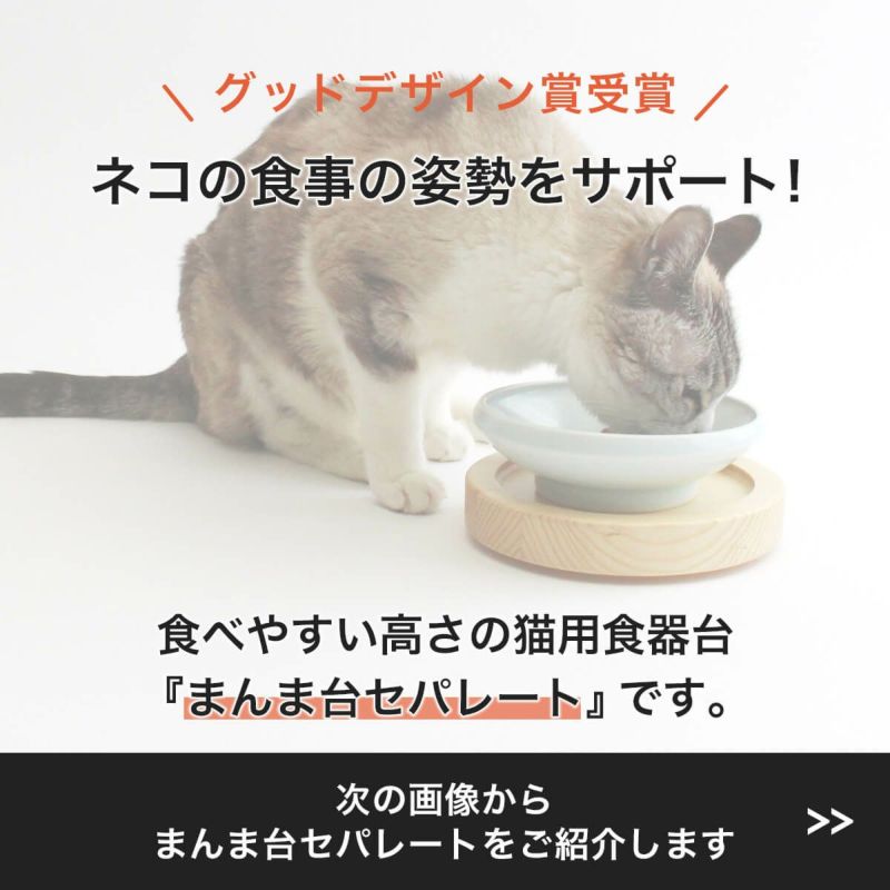 グッドデザイン賞受賞、ネコの食事の姿勢をサポートする食べやすい高さの猫用食器台