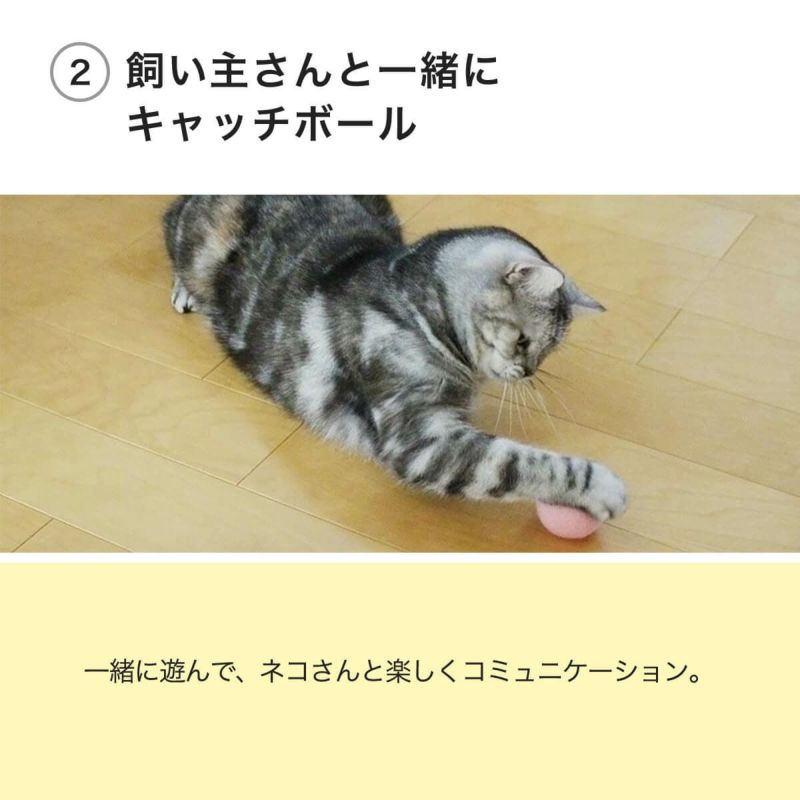 ねこずきころころLARGEは飼い主さんと一緒にキャッチボール