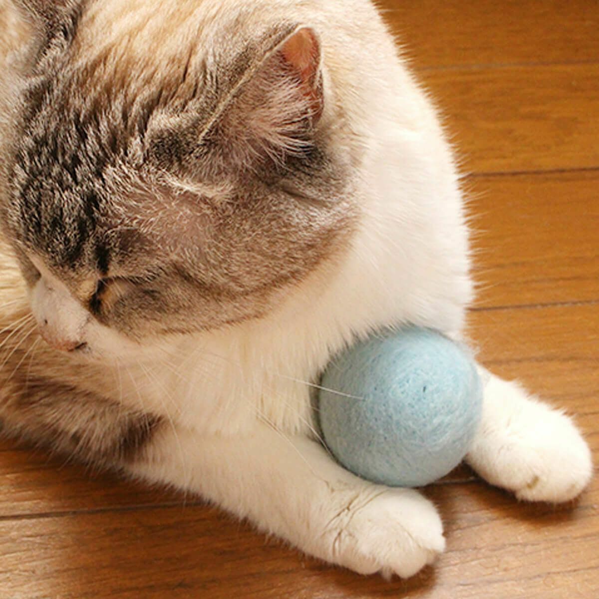 猫さんへのギフトに。猫用おもちゃねこずきころころLARGE