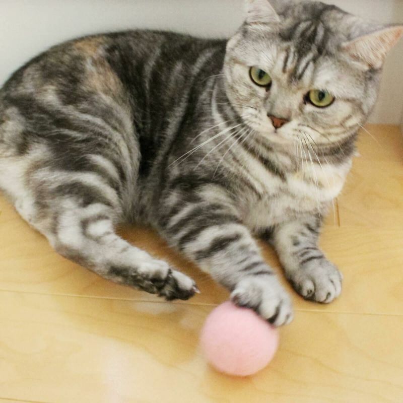 猫さんへのギフトに。猫用おもちゃねこずきころころLARGE