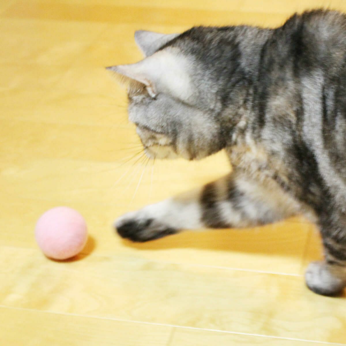 猫さんへのギフトに。猫用おもちゃねこずきころころLARGE