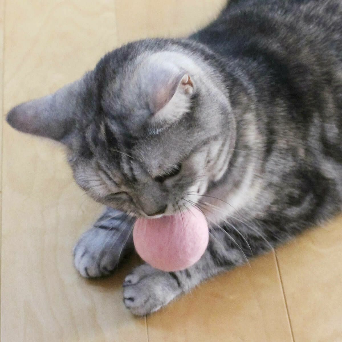 猫さんへのギフトに。猫用おもちゃねこずきころころLARGE