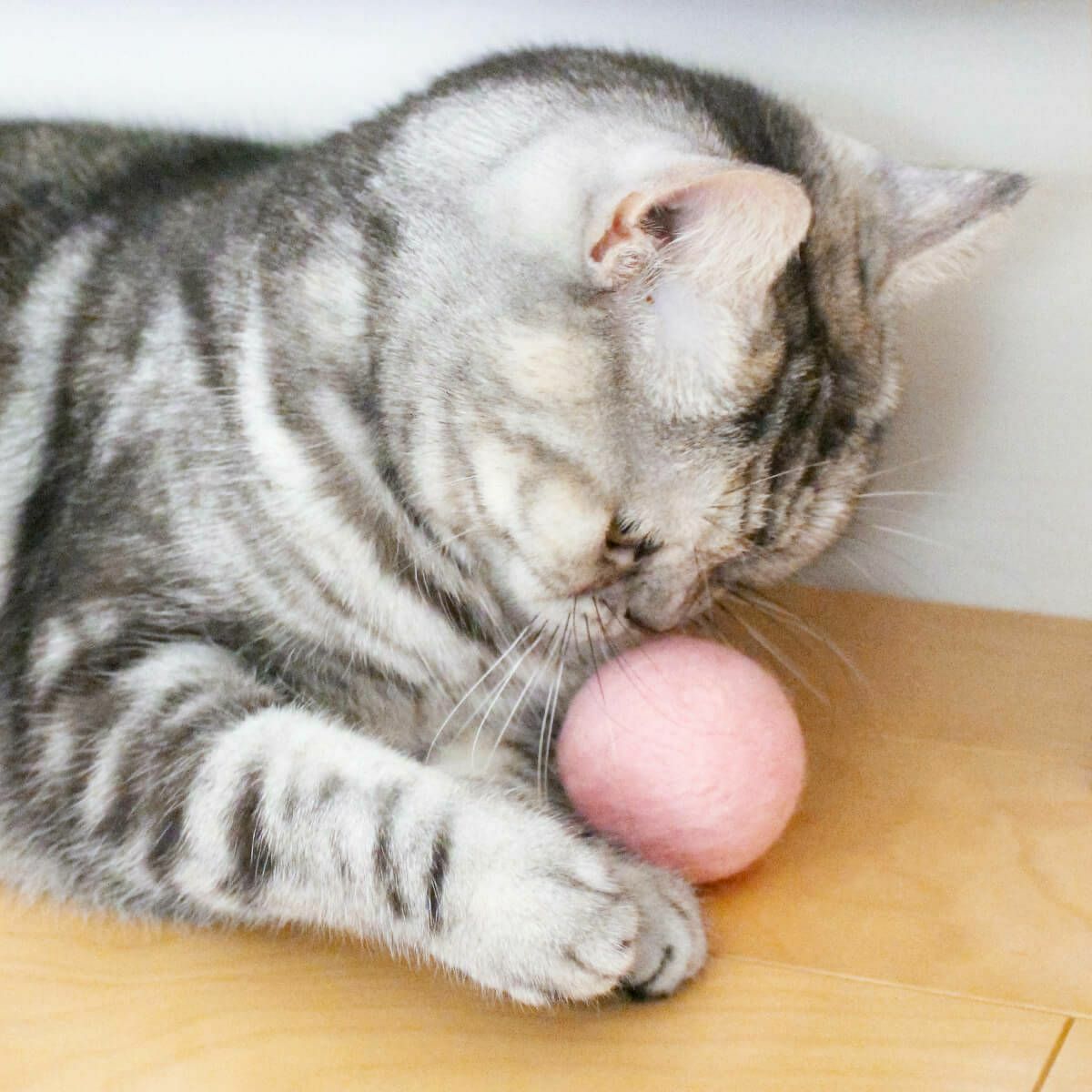 猫さんへのギフトに。猫用おもちゃねこずきころころLARGE