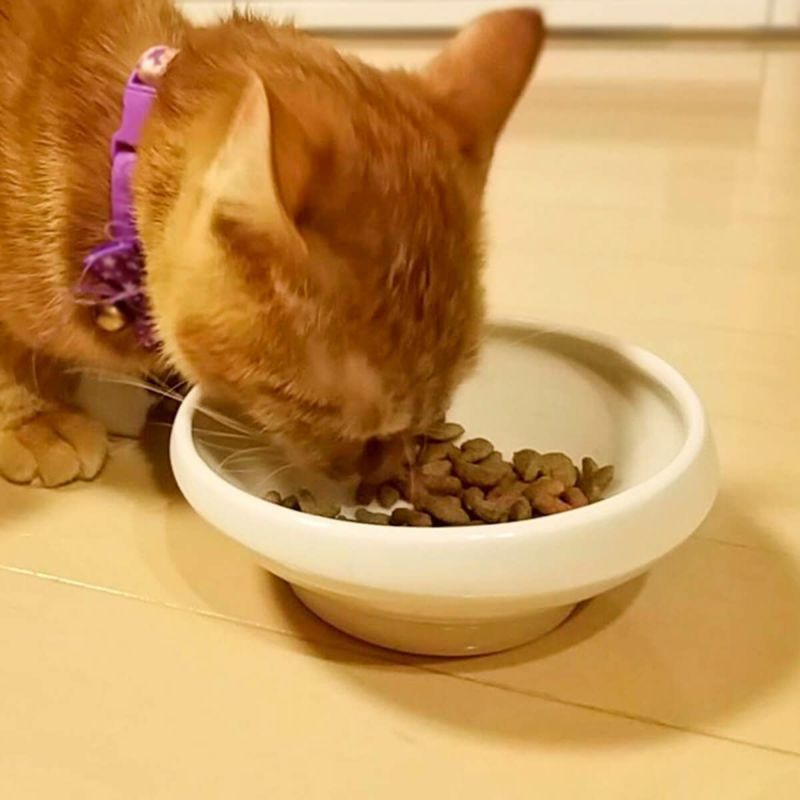 猫が食べやすい斜めの傾斜、磁器製のフードボウル。重さがあるからひっくり返らない。