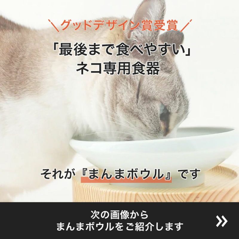 グッドデザイン賞受賞　最後まで食べやすいネコ専用磁器製食器