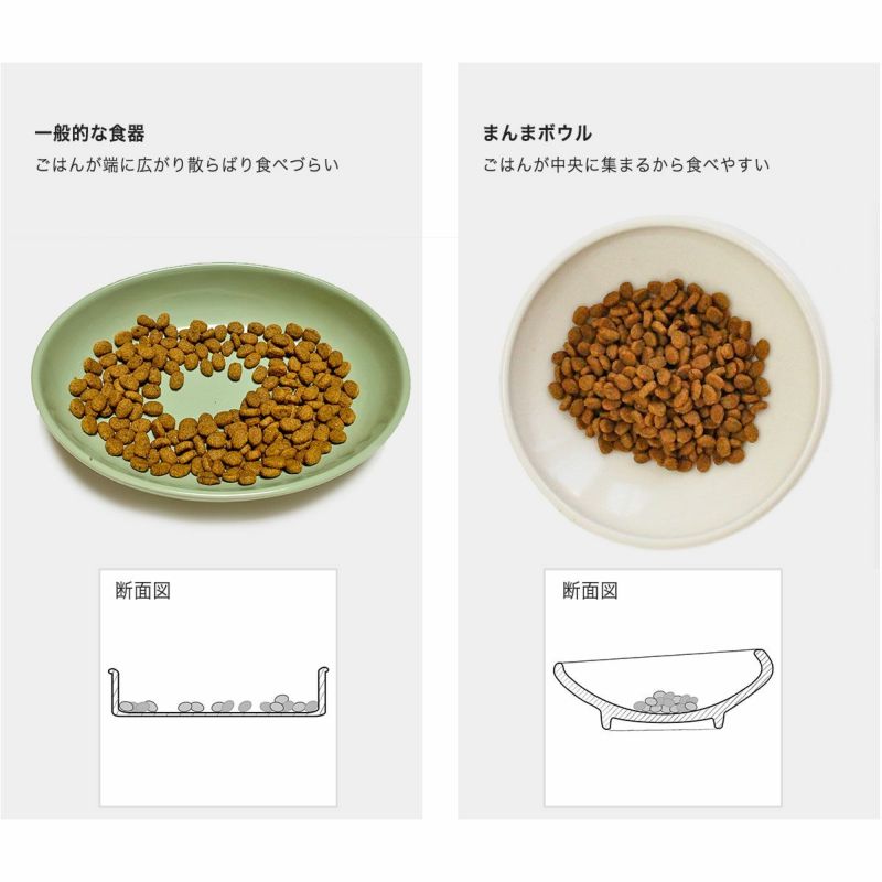 一般的な猫用食器とまんまボウルの比較