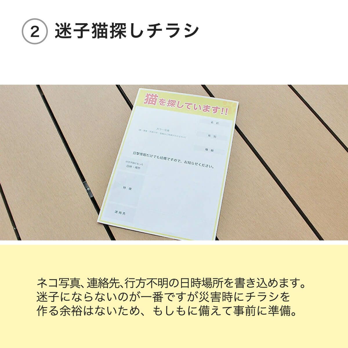 迷子猫探しチラシ