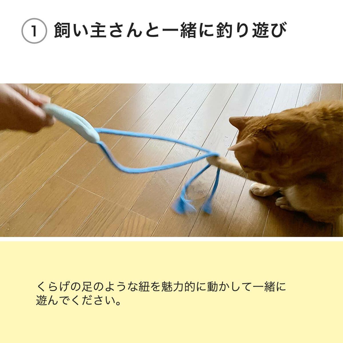 くらげじゃらしは飼い主さんと一緒に釣り遊び