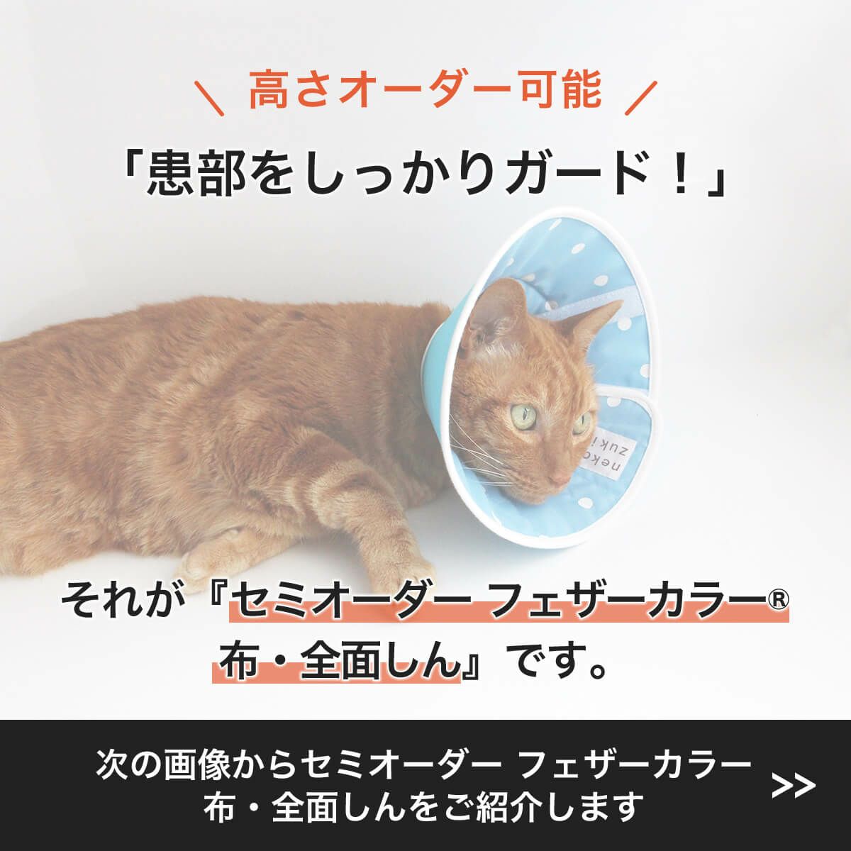 セミオーダーエリザベスカラー。フェザーカラー【布・全面しん】