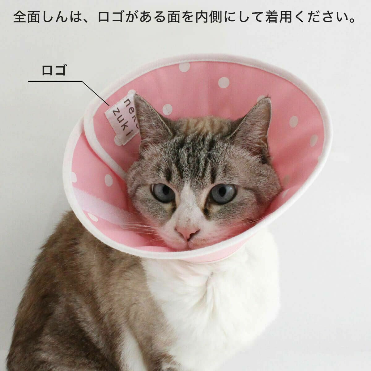 セミオーダーエリザベスカラー。フェザーカラー【布・全面しん】