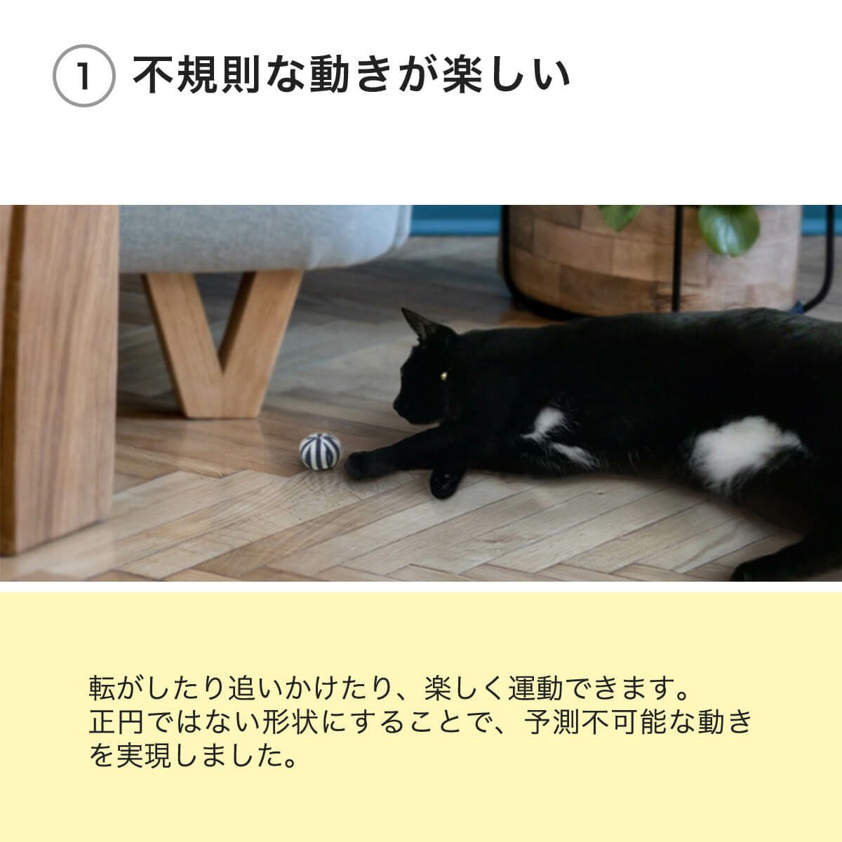 ねこずきころころファブリックは不規則な動きが楽しい