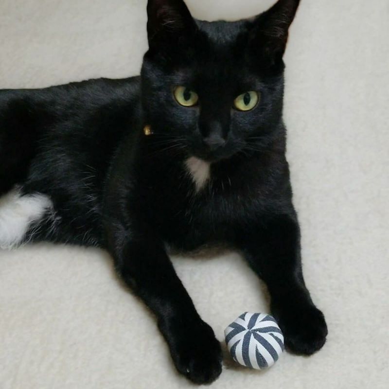 またたび不使用。猫用おもちゃねこずきころころファブリック