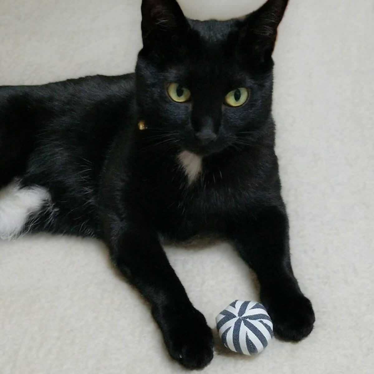 またたび不使用。猫用おもちゃねこずきころころファブリック