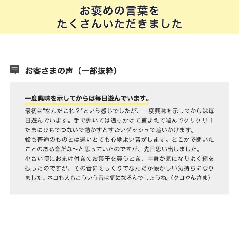 ねこずきさかなLARGEお客様の声
