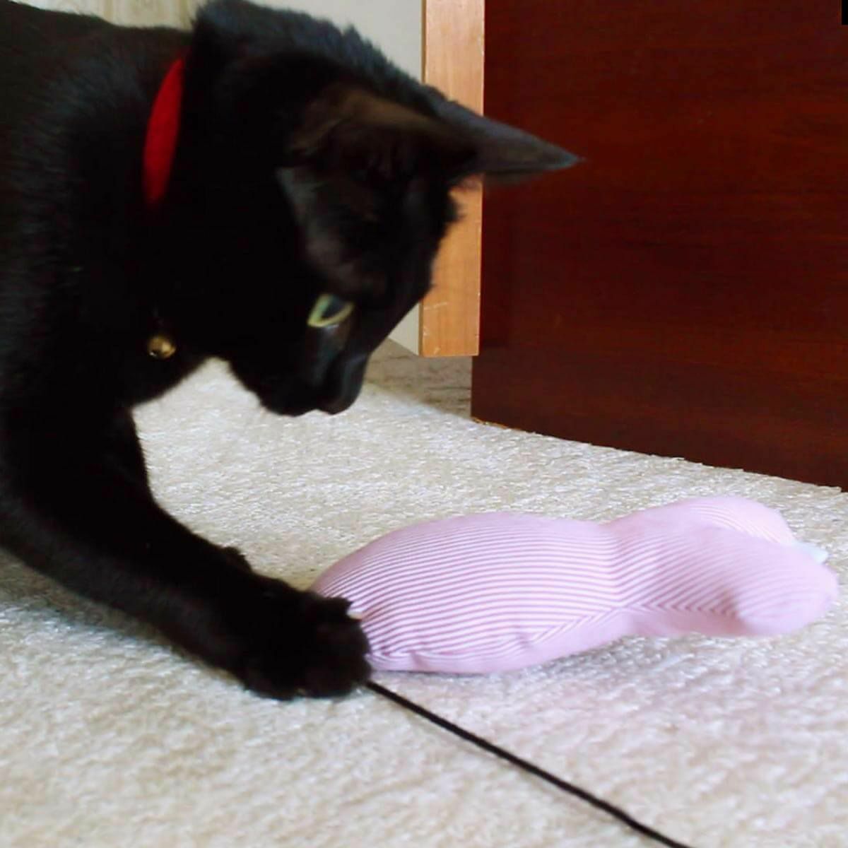 またたび不使用の猫用おもちゃ。ねこずきさかなLARGE