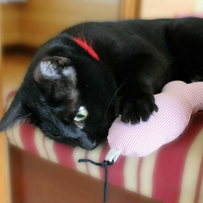 またたび不使用の猫用おもちゃ。ねこずきさかなLARGE