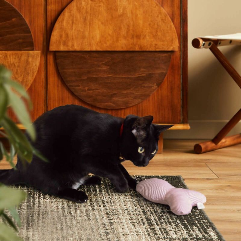 またたび不使用の猫用おもちゃ。ねこずきさかなLARGE