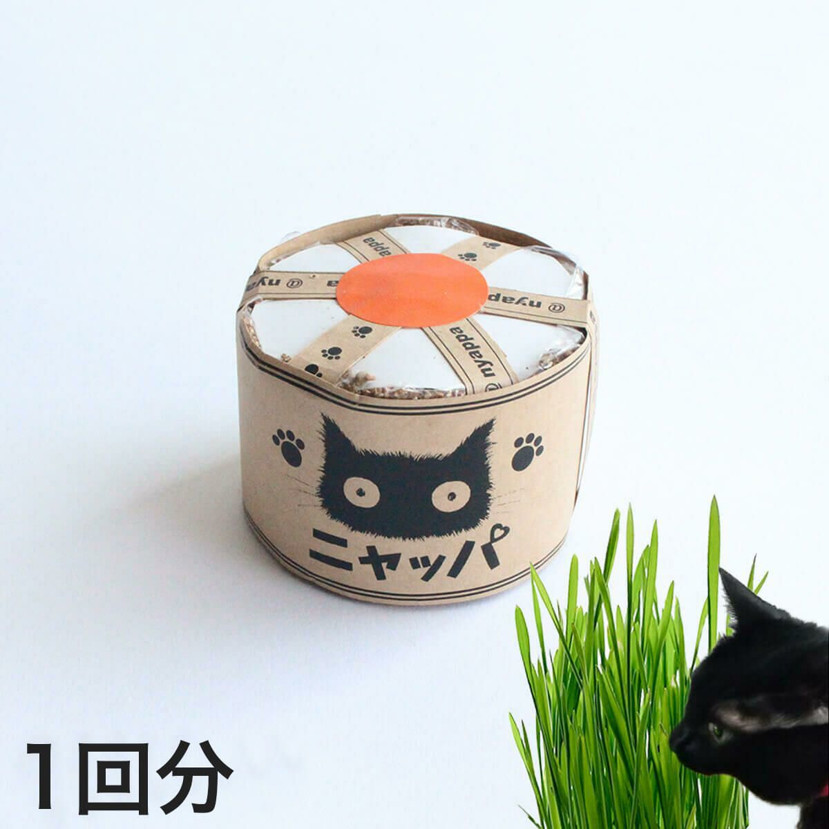 無農薬の北海道産100％。猫草ニャッパ1回分