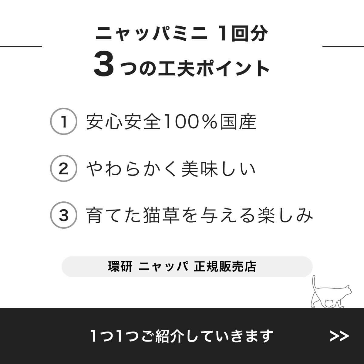 猫草ニャッパ1回分3つの工夫ポイント