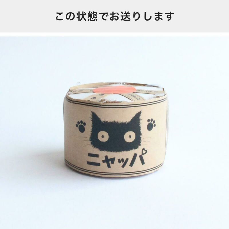 猫草ニャッパ1回分のパッケージ