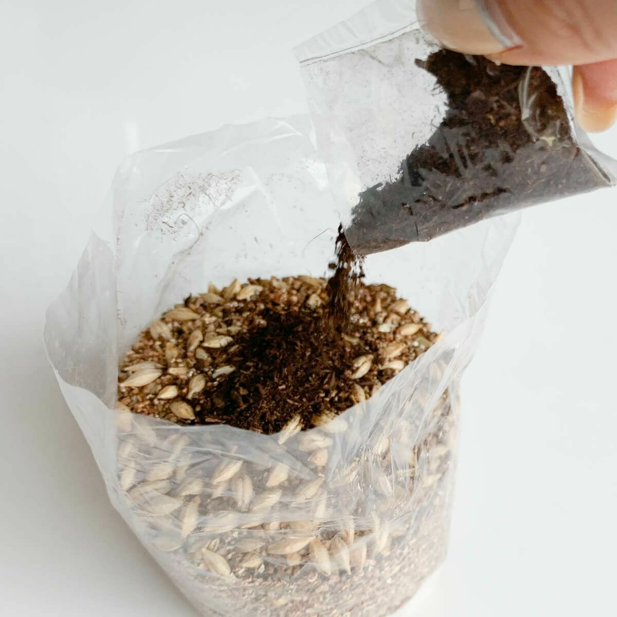 無農薬の北海道産100％。猫草ニャッパ1回分