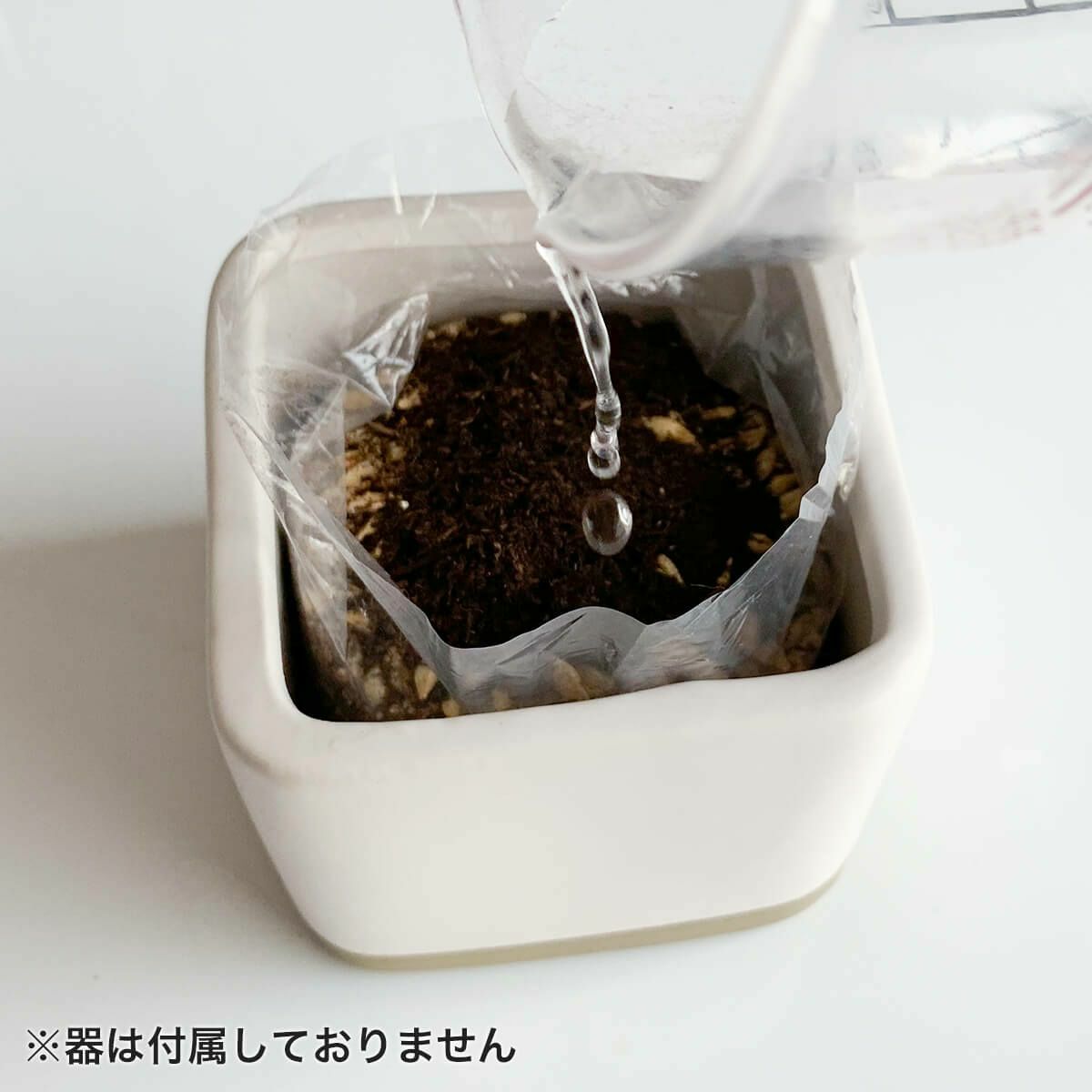 無農薬の北海道産100％。猫草ニャッパ1回分