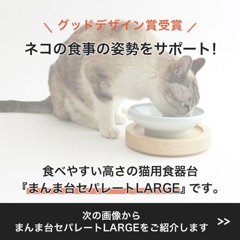 グッドデザイン賞受賞、ネコの食事の姿勢をサポートする食べやすい高さの猫用食器台