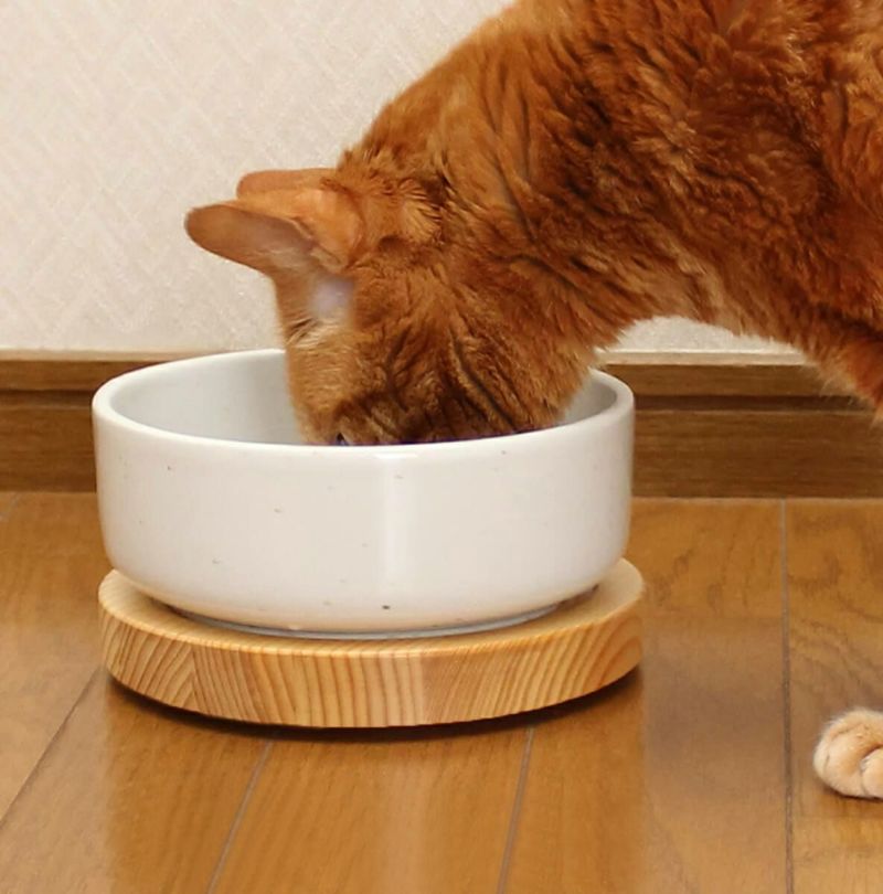 食器や猫の成長に応じて高さ変更・調整可能な食器台！シンプルでおしゃれな木製の餌台です。別売ヘルスウォーターボウルLサイズ対応